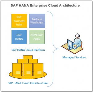 SAP HANA Enterprise Cloud Architecture