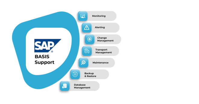 Understanding SAP BASIS Support | SAP Basis Services | ESDS