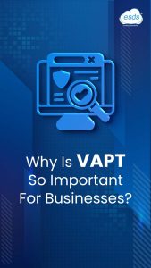 Why Is VAPT So Important For Businesses?