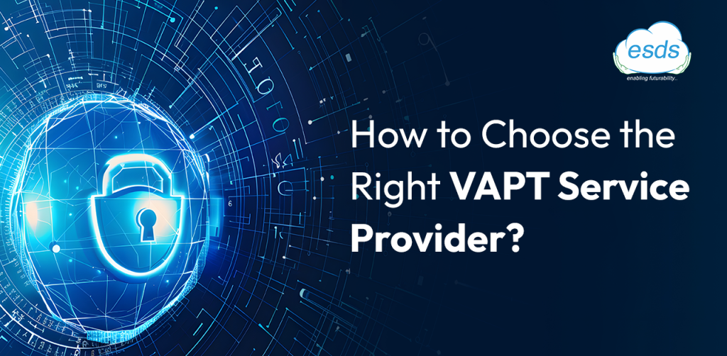 ESDS VAPT Service provider