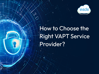 ESDS VAPT service provider