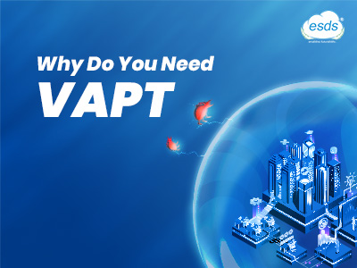 VAPT Services