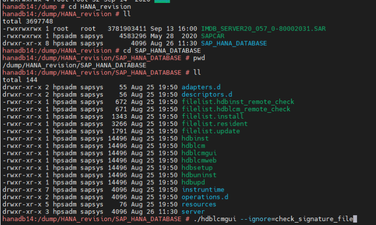 A step-by-step guide on how to Upgrade HANA DB Revision